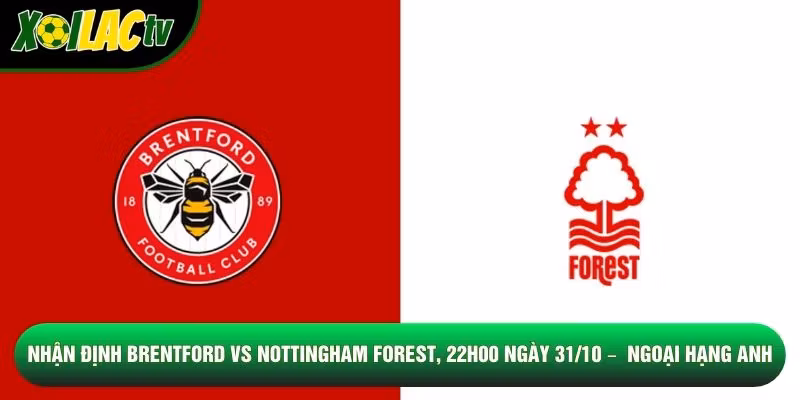 Nhận Định Brentford Vs Nottingham Forest, 22h00 Ngày 31/10 – Giải Ngoại Hạng Anh